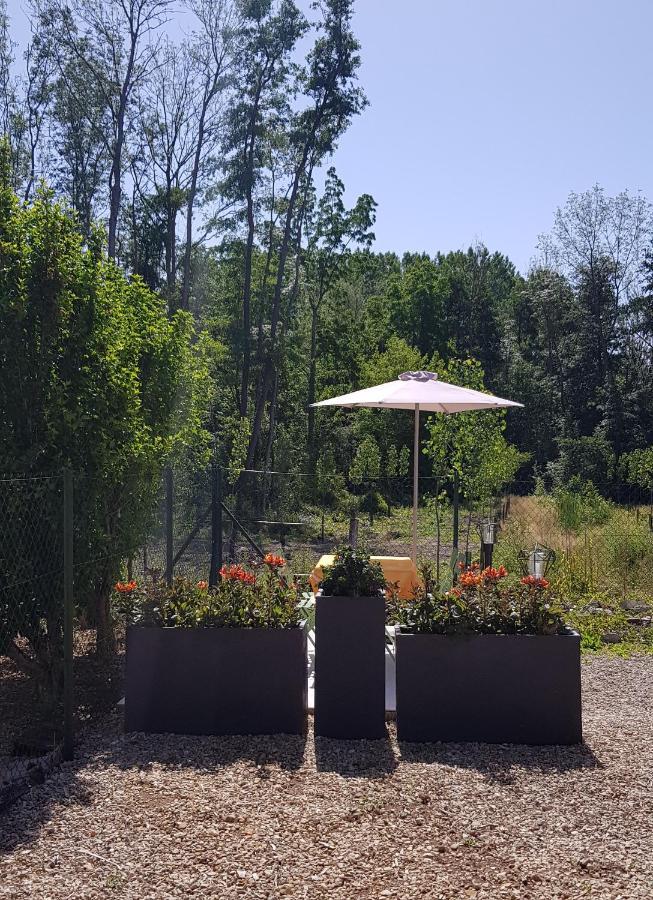 Agreable Petite Maison Proche Joigny Chamvres 외부 사진